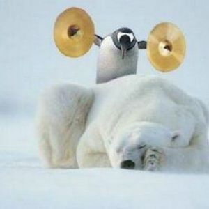 Meet your Posher, Alan